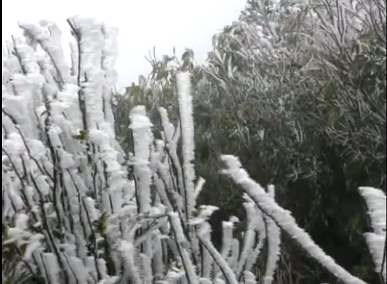 Băng tuyết xuất hiện trên đỉnh Mẫu Sơn,UBND tỉnh Lạng Sơn ra công điện khẩn