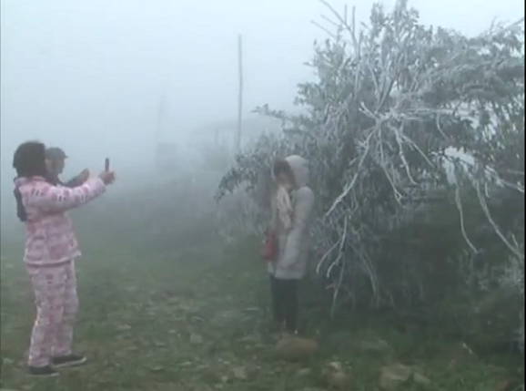3-Băng tuyết xuất hiện trên đỉnh Mẫu Sơn,UBND tỉnh Lạng Sơn ra công điện khẩn