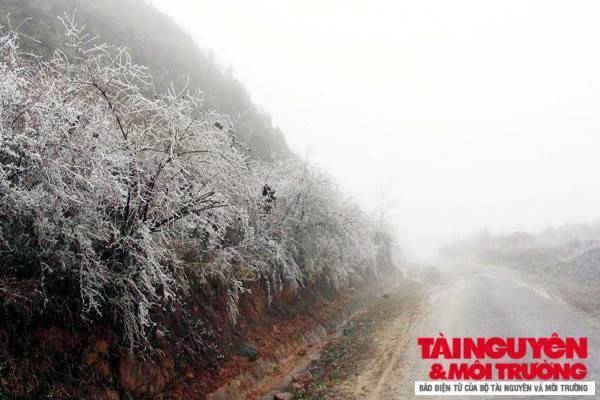 TNMT Hà Giang, các xã biên giới vất vả trong băng giá