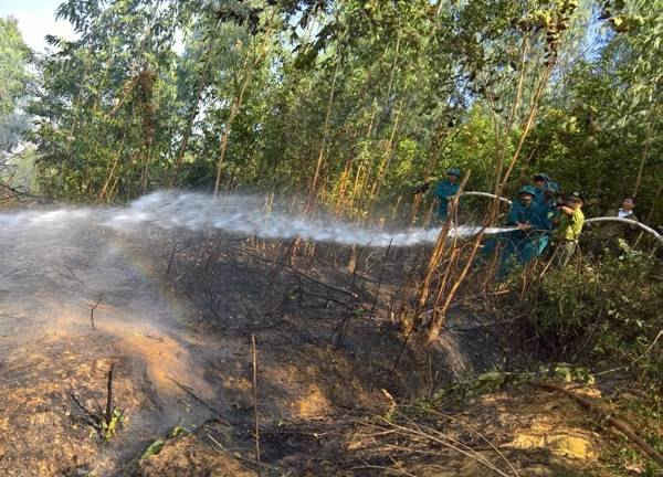 Thạch Thất - Hà Nội: Truy trách nhiệm Chủ tịch xã nếu để xảy ra chặt phá rừng, cháy rừng