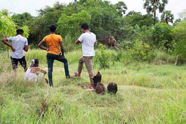 Người dân làng xem một con voi ở Sri Lanka, nơi mà cuộc xung đột giữa người và voi đang gia tăng nhanh chóng. Hình ảnh: Silvia Boccardi