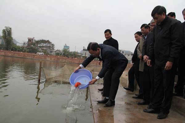 Ông Hoàng Văn Chất, Bí thư Tỉnh ủy, Chủ tịch HĐND tỉnh Sơn La cùng các đồng chí lãnh đạo tỉnh thực hiện nghi thức thả cá chép tại Ao cá Bác Hồ.