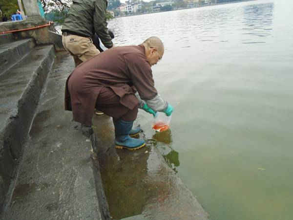 Thầy Thích Tịch Giác – Trụ trì chùa Phúc Sơn, xã Kim Sơn, huyện Gia Lâm tham gia thả cá với người dân