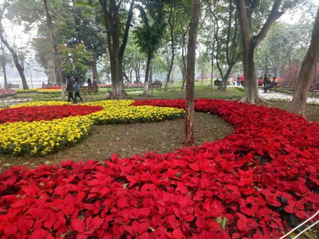 Vườn hoa Lý Thái Tổ, quận Hoàn Kiếm được tô điểm bằng những khóm hoa đẹp mắt phục vụ cho nhân dân chơi xuân
