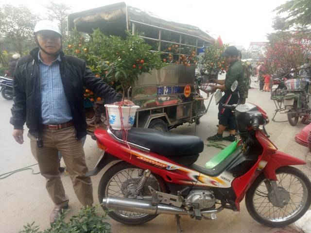 Anh Nguyễn Văn Chính quê huyện Thanh Hà, Hải Dương cho hay bên cạnh cây mai, anh con mua thêm cây quất Nhật để trưng trong dịp Tết này