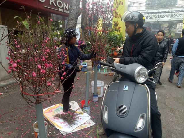 Dù trải qua nhiều thăng trầm người Hà Nội vẫn chọn chợ Hàng Lược mua hoa ngày Tết