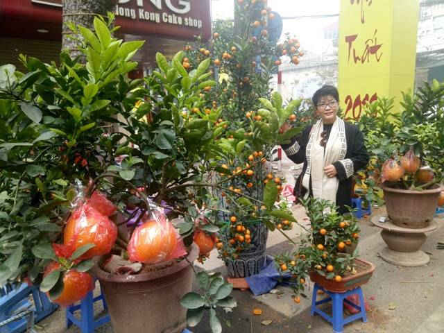 người Hà Nội đi chợ hoa Hàng Lược thường ngắm nhiều hơn mua 