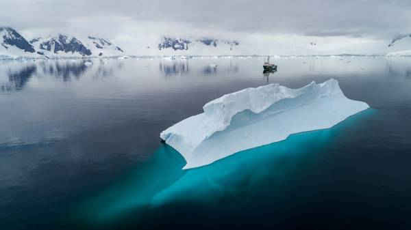 Greenpeace lái thuyền buồm Arctic Sunrise qua một tảng băng trôi ở Vịnh Charlotte, bán đảo Nam Cực. Hình ảnh: Christian Åslund / Greenpeace