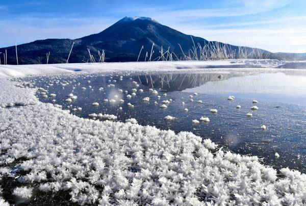 Hoa sương giá trên mặt hồ Akan lạnh giá ở Kushiro, Hokkaido, Nhật Bản. Ảnh: The Asahi Shimbun/(Credit too long, see caption)