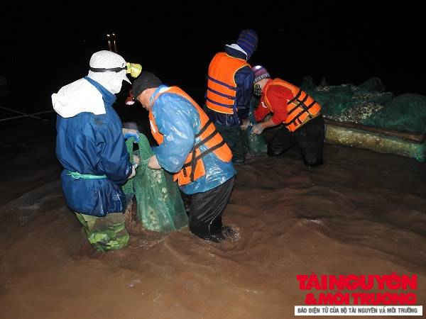 Kiến Thụy – Hải Phòng: Một ngày cùng ngư dân đánh bắt ngao ở cửa sông Văn Úc.