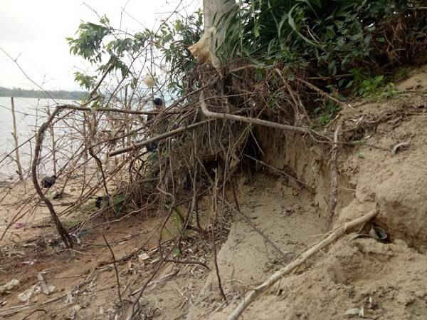 Quảng Bình: Dân bức xúc vì “cát tặc” lộng hành2