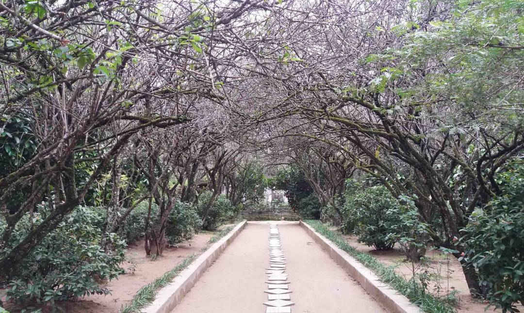 4-“Mục sở thị” ngôi nhà vườn đẹp và độc đáo nhất xứ Huế