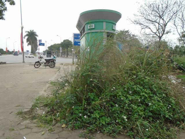 Tại Hà Nội có nhiều nhà vệ sinh công cộng bị bỏ hoang cỏ mọc ùm tùm