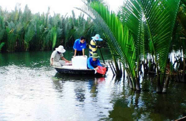 1 Quảng Nam, Quảng Ngãi Nỗ lực khôi phục, phát triển rừng ngập mặn