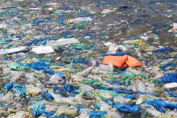 2 Khánh Hòa Đảo Bình Ba bị “ngộ độc” nặng bởi rác thải
