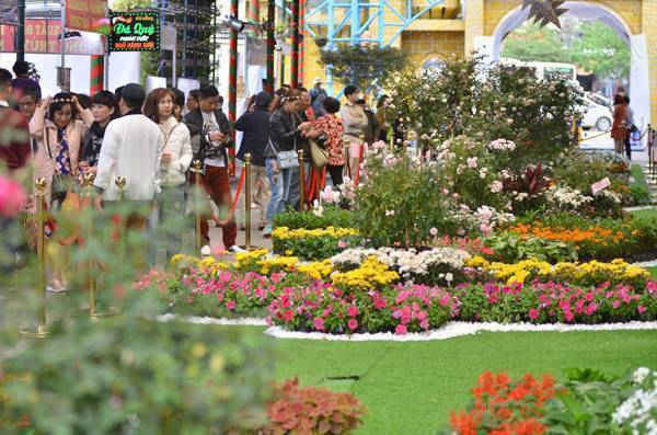 Năm nay, không gian trưng bày hoa thoáng mát và rất thuận tiện cho người dân ngắm hoa