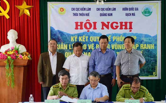 Thừa Thiên Huế và Quảng Nam ký kết quy chế phối hợp quản lý bảo vệ rừng