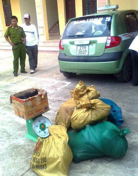 Lực lượng công an tỉnh Điện Biên thu giữ tang vật vụ vận chuyển động vận hoang dã trái phép.