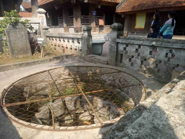  Nơi cuối sân chùa là chiếc giếng khơi chôn mình bên cạnh gốc cây ngọc lan đang tỏa hương thơm ngát
