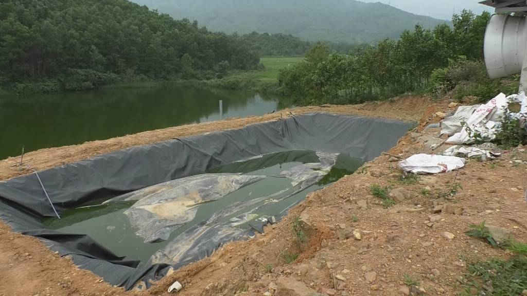 Hồ lắng xả thải sau dãy nhà chăn nuôi của HTX Tân Hưng Phát