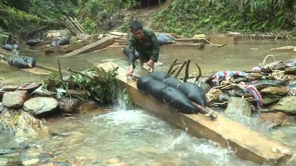 Đây là một trong những vụ phá rừng Phòng hộ có quy mô lớn tại Quảng Bình