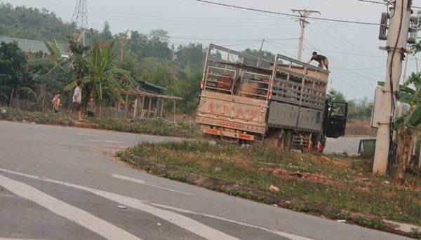 Xe vận chuyển trâu, bò dừng ngay đầu đường Khu công nghiệp xã Tân Thành bốc dỡ hàng chứ không vào khu cách ly theo quy định