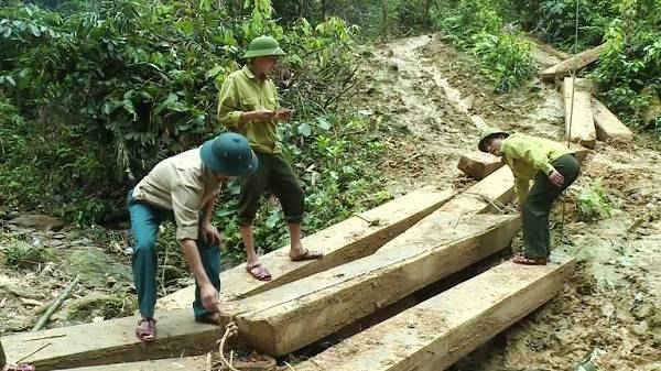 Đây là vụ phá rừng có quy mô lớn nhất từ trước tới nay tại Quảng Bình