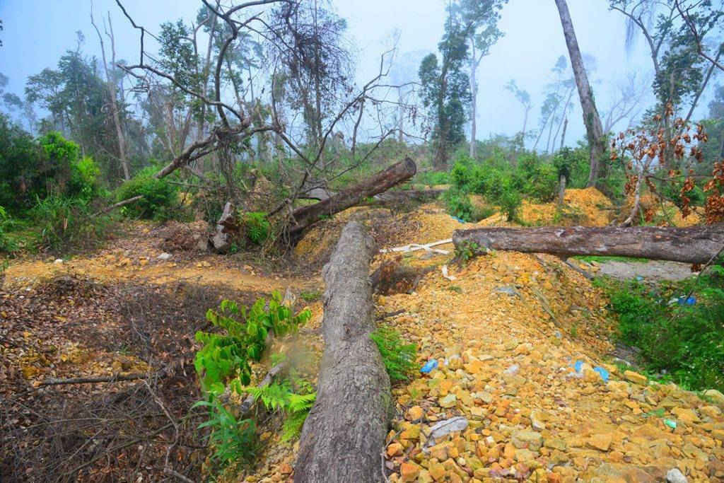 Rừng đầu nguồn tại bãi quặng thuộc các tiểu khu193, 203, xã Khánh Thành, huyện Khánh Vĩnh, Khánh Hòa bị tàn phá tan hoang