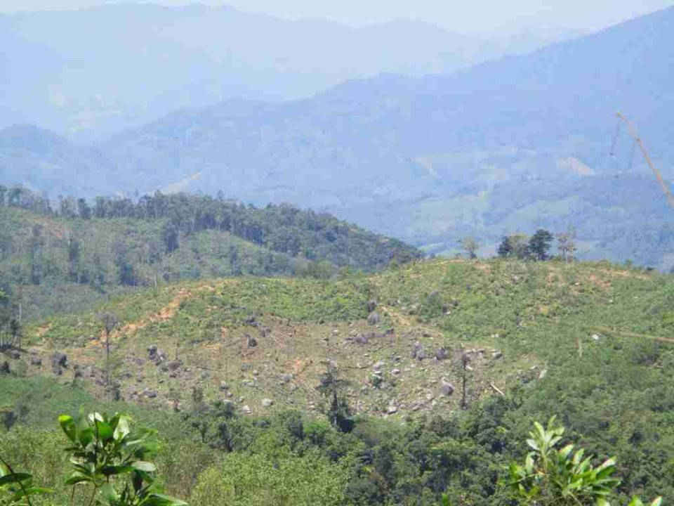 Rừng bị khai thác trơ gốc, tàn phá trơ trụi tại khu vực gần tục danh Hóc Bốn và đường vào làng Suối Kun, xã An Hưng, huyện An Lão