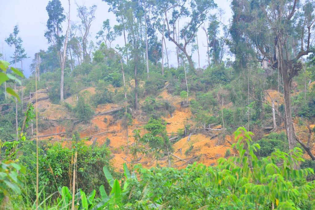 Bãi quặng nằm trên quả đồi lớn là rừng đầu nguồn, cũng là đầu nguồn nước, cung cấp nước sinh hoạt cho dân cư huyện Khánh Vĩnh