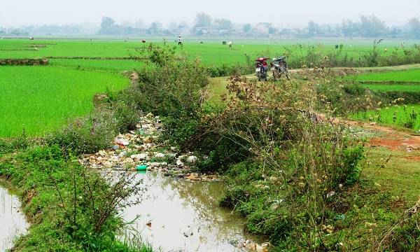 Rác thải từ các tuyến kênh đổ dồn về khu vực đồng ruộng.