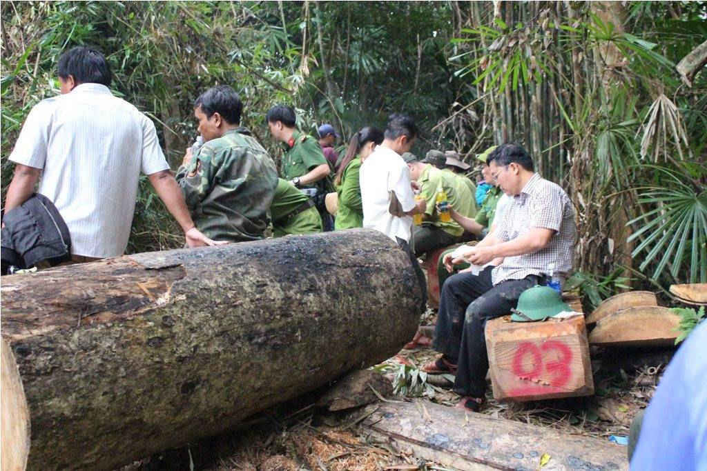 Đoàn kiểm tra tỉnh Quảng Nam tại hiện trường vụ phá rừng phòng hộ huyện Đông Giang