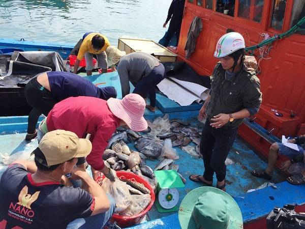 Từ đầu năm đến nay, nhiều chuyến tàu của ngư dân Lý Sơn trúng đậm các loại cá có giá trị kinh tế cao. 