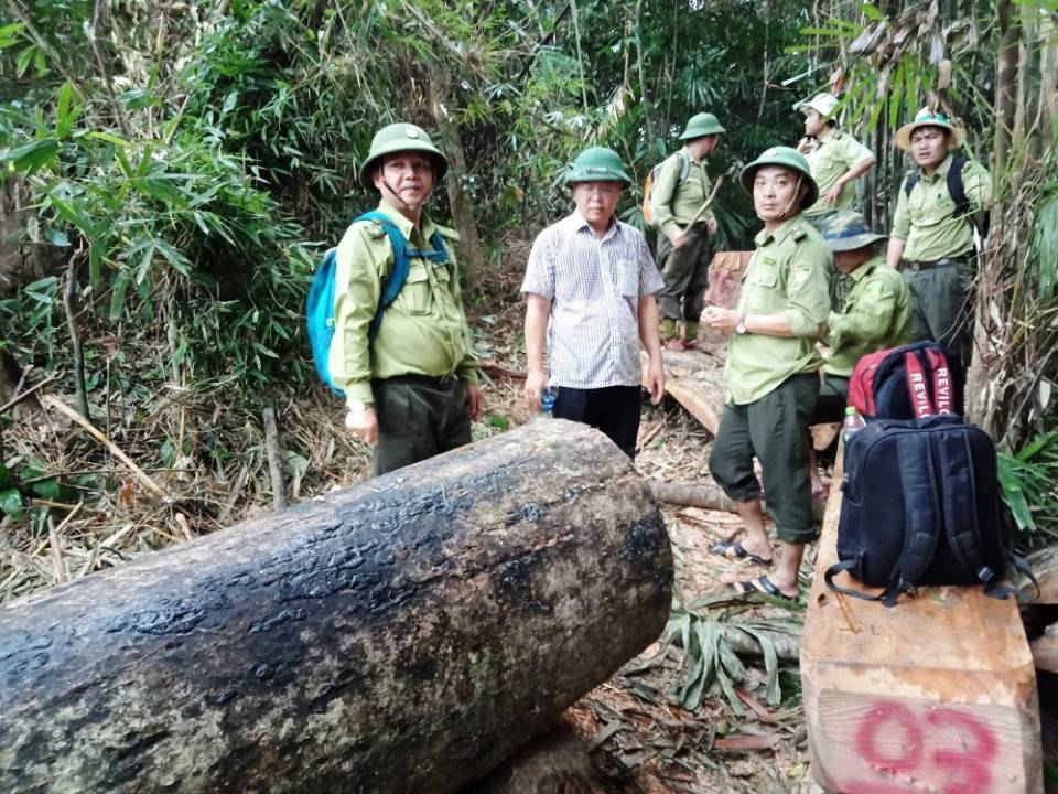 Ông Lê Trí Thanh, Phó Chủ tịch tỉnh Quảng Nam cùng đoàn cơ quan liên ngành kiểm tra hiện trường vụ phá rừng