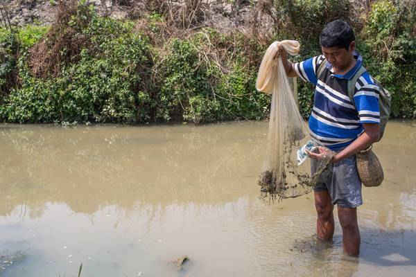 Prem Rai lấy nhựa ra khỏi lưới đánh cá của anh trên sông Bagmati gần Gokarna ở Kathmandu. Ảnh: Nabin Baral