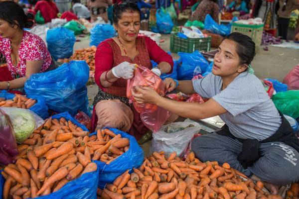 Những người bán rau sử dụng nhiều gấp đôi túi polythene khi nhu cầu của khách hàng tại Chợ rau củ quả Kalimati, chợ lớn nhất ở Thung lũng Kathmandu tăng cao. Ảnh: Nabin Baral