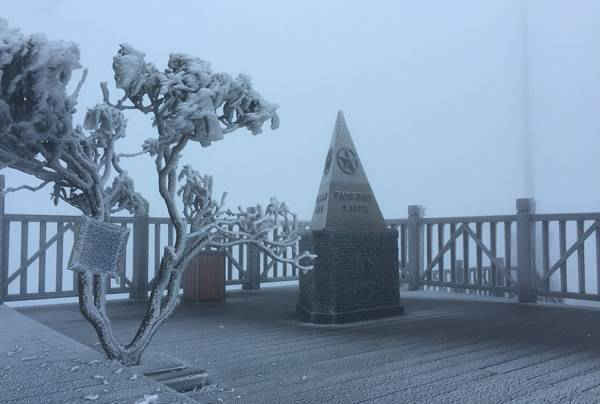 Băng tuyết xuất hiện tạo nên một bức tranh tuyệt đẹp trên đỉnh Fansipan tại khu du lịch quốc gia Sa Pa