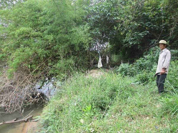 Người dân thôn Cẩm Thạch lo lắng sông Ba sạt lở ngày một nghiêm trọng, ăn sâu vào đất liền nhà dân 