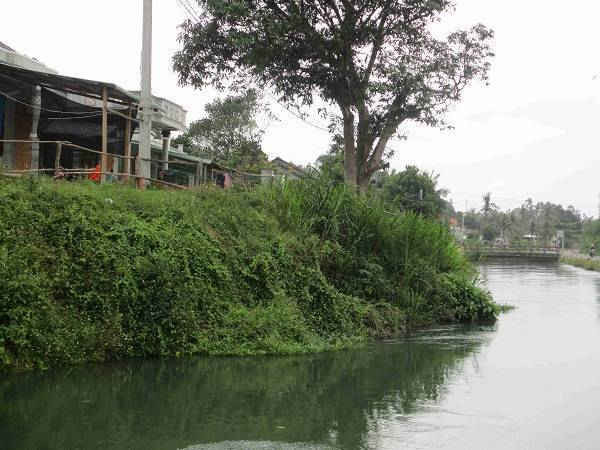 Người dân xây nhà, trồng cây gây sạt lở bờ kênh 