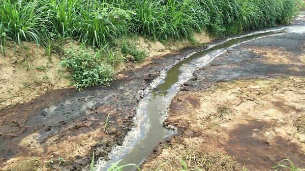 Nước thải chảy tràn ra sông Chu gây mùi hôi thối khó chịu