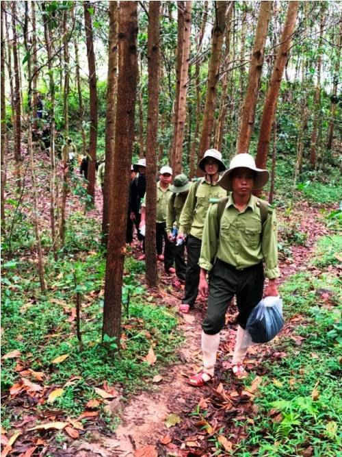 Lực lượng kiểm lâm tỉnh Quảng Nam quyết tâm làm trong sạch đội ngũ