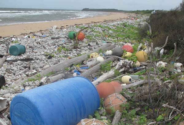 Các mảnh vỡ trên biển bị bỏ rơi được phát hiện ở phía Nam của con sông Lockhart ở Cape York, Queensland.