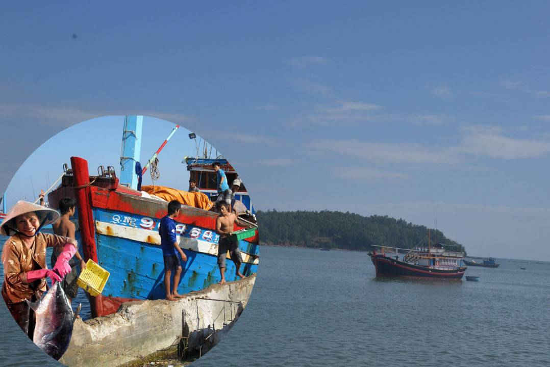 Hiện nay, Quảng Ngãi là tỉnh duy nhất trong 28 tỉnh, thành phố ven biển không có phương tiện chuyên dụng tuần tra, kiểm soát, quản lý hoạt động khai thác thuỷ sản trong các vùng biển này