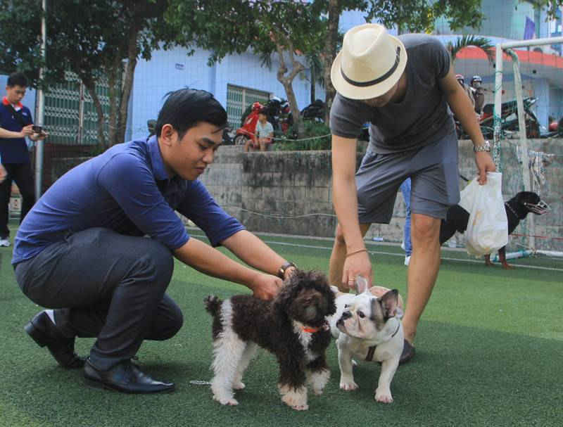 2-Sôi nổi ngày hội giao lưu chó cảnh tại Quảng Trị