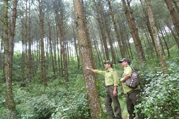 Địa bàn rộng, lực lượng mỏng, nên công tác quản lý, bảo vệ rừng tại Rừng đặc dụng Tà Xùa còn gặp rất nhiều khó khăn.