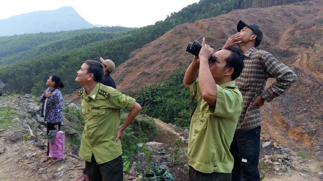 Tỉnh Quảng Nam đang triển khai nhiều giải pháp bảo tồn loài Voọc chà vá chân xám quý hiếm