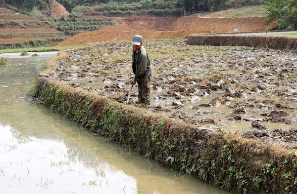 Hệ thống thủy lợi giúp người dân huyện Bắc Hà tiếp tục khai hoang thêm diện tích đất sản xuất lúa nước