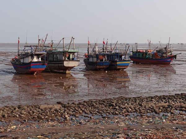 Việc hỗ trợ kinh phí từ phía UBND tỉnh Thanh Hóa, sẽ giúp ngư dân sớm ổn định.