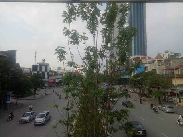 Ở thời điểm đó, một số người chưa tin rằng loài cây này phù hợp với khí hậu nhiệt đới của Việt Nam.