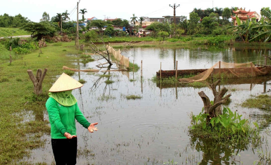 2-Hải Dương: Cụm công nghiệp xả nước thải bẩn vào đầm nuôi cá và lúa của dân